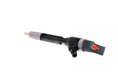 INJECTOR REMANTE 002003000150R 17