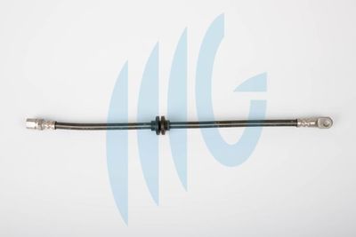 Тормозной шланг RICAMBIFLEX GM 02260362 для LANCIA DELTA
