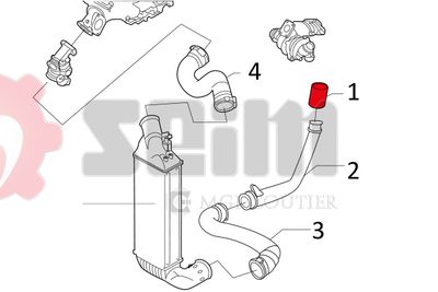 FURTUN EAR SUPRAALIMENTARE SEIM 981143 2