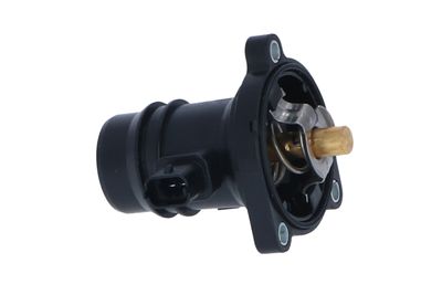 TERMOSTAT LICHID RACIRE NRF 725024 39