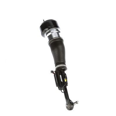 LUFTFEDERBEIN Arnott AS2548 60