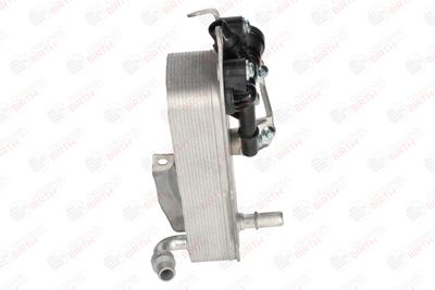 RADIATOR ULEI ULEI MOTOR BIRTH 80812 10