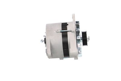 GENERATOR / ALTERNATOR REMANTE 011003000065R 47