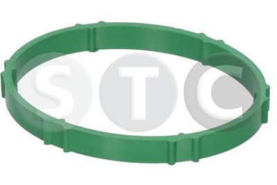 DICHTUNG DROSSELKLAPPENSTUTZEN