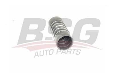 BSG BSG 30-720-248 Турбина  для FORD FIESTA VI (CB1, CCN) 1.6 TDCi