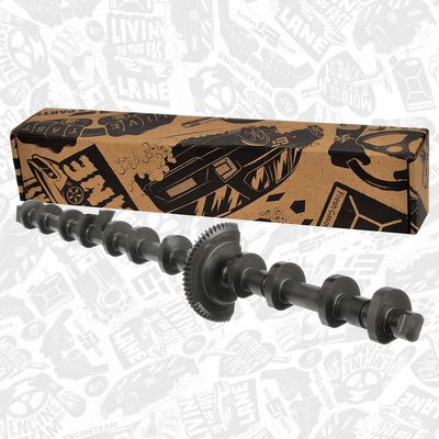 ARBORE EXCENTRIC REGLAREA ARBORELUI CU CAME