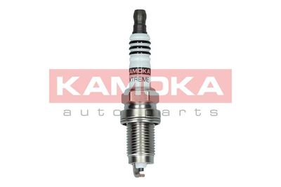 Spark Plug 7090540