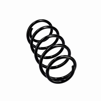 ARC SPIRAL EIBACH R10341 24