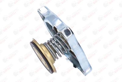 BUSON RADIATOR BIRTH 8088 8