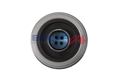 FULIE CUREA ARBORE COTIT BOGAP B1213154 5