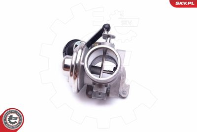 EGR Valve 14SKV206