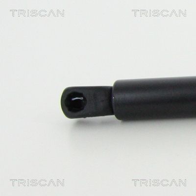 AMORTIZOR PORTBAGAJ TRISCAN 871080219 2