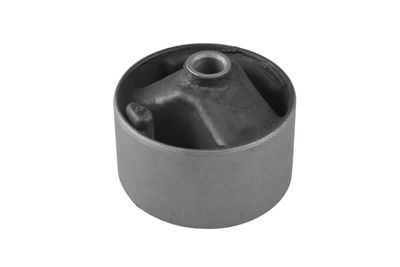 SUPORT MOTOR TEDGUM 00466405 1