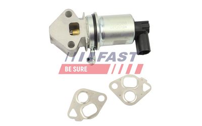 AGR-Ventil FAST FT10056