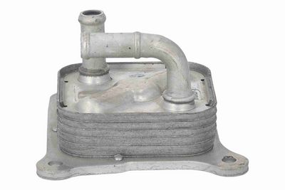 RADIATOR ULEI ULEI MOTOR ACKOJA A38600023 5