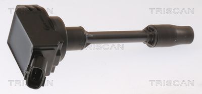 Tændspole TRISCAN 8860 13041