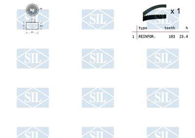 SET CUREA DE DISTRIBUTIE Saleri SIL TK1085 1