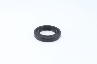 Dichtring