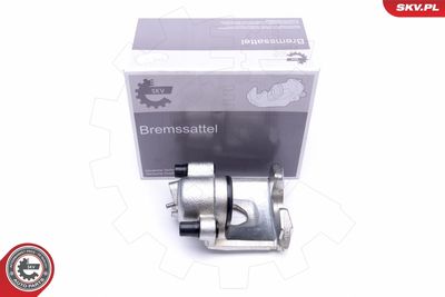 Brake Caliper 45SKV452