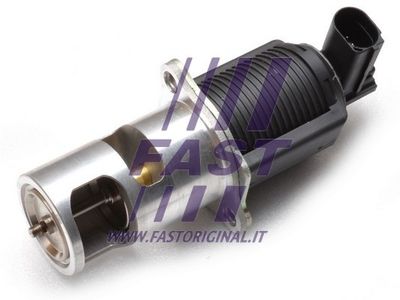 Zawór AGR FAST FT60213