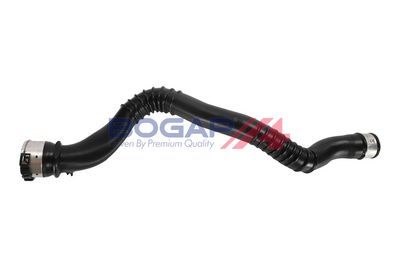 FURTUN EAR SUPRAALIMENTARE BOGAP B1711189 2