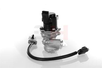 SUPAPA EGR GH GH732566 27