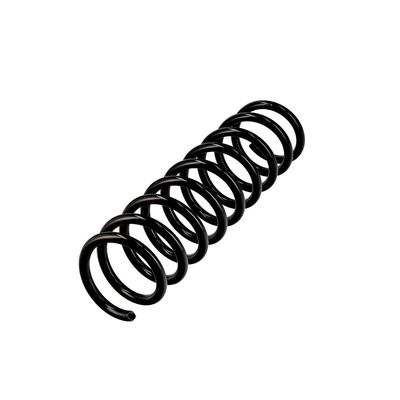 ARC SPIRAL EIBACH R10115 3