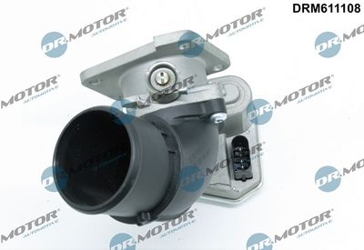 Throttle Body DRM611108