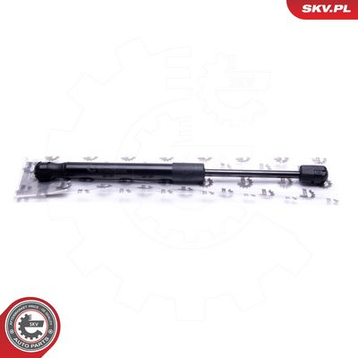 Dujinė spyruoklė, bagažinė