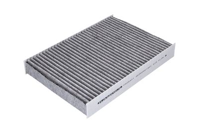 FILTRU AER HABITACLU KAMOKA F509401 3