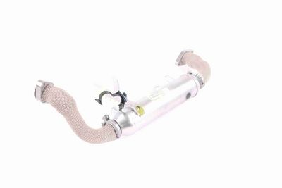 RADIATOR RECIRCULARE GAZE DE ESAPAMENT VEMO V24630020 4