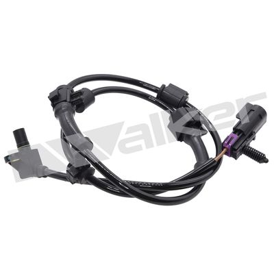 SENZOR TURATIE ROATA