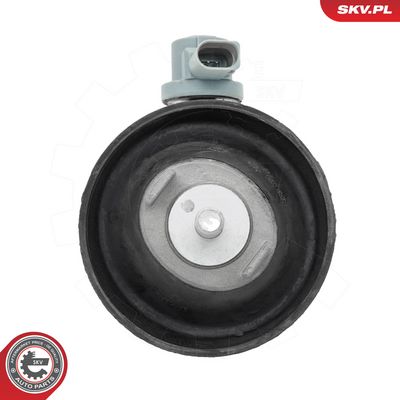 Variklio montavimas SKV GERMANY 75SKV212
