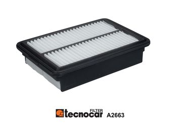 Filtr powietrza TECNOCAR A2663