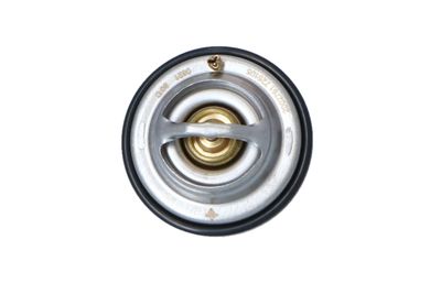 TERMOSTAT LICHID RACIRE NRF 725105 8