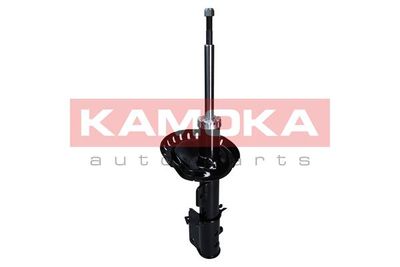 Shock Absorber 2000524