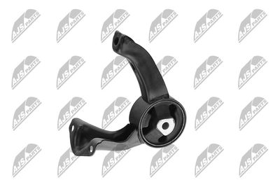 SUPORT MOTOR NTY ZPSCH012 22