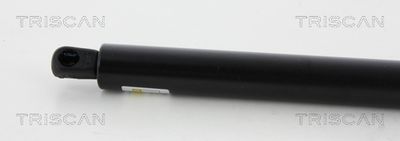 AMORTIZOR PORTBAGAJ TRISCAN 871065210 1