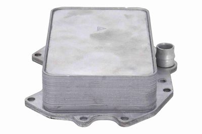 RADIATOR ULEI ULEI MOTOR VEMO V15606083 5