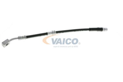 FURTUN FRANA VAICO V404110 61