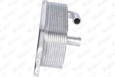 RADIATOR ULEI ULEI MOTOR BIRTH 80289 10