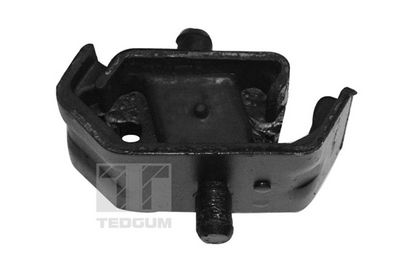 LAGERUNG MOTOR TEDGUM 00162172 1