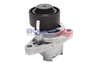 INTINZATOR CUREA CUREA DISTRIBUTIE BOGAP R1317102
