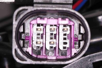 TüRSCHLOSS VEMO V10850155 2