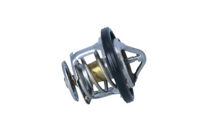 TERMOSTAT LICHID RACIRE NRF 725284 45