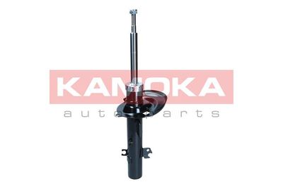 Shock Absorber 2001281