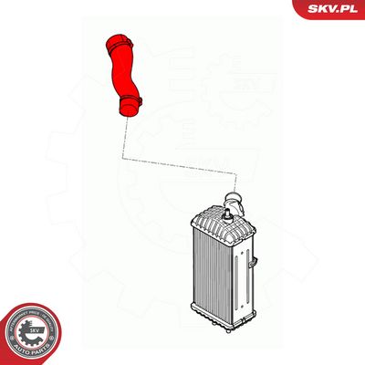 2 Artikelbild