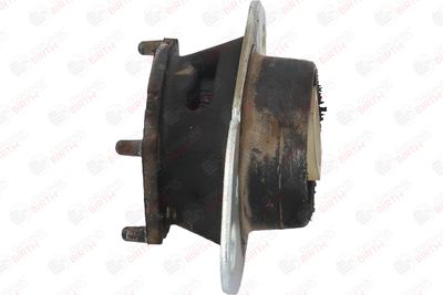 SUPORT MOTOR BIRTH 52989 10