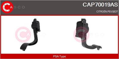 SET PEDALE CONDUCERE