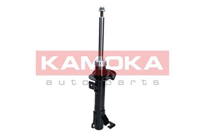 Shock Absorber 2000254